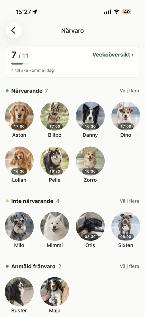 Bonnies närvarovy med hundar som är på plats, väntas komma eller har anmäld frånvaro